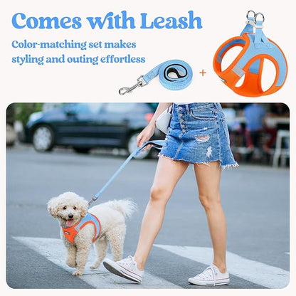 rabbitgoo Dog Harness Small Sized and Leash Set, Step in Soft Light Puppy Vest, Breathable Mesh Pet Harness, Reflective for Safe Easy Walking, Blue & Orange XXXS