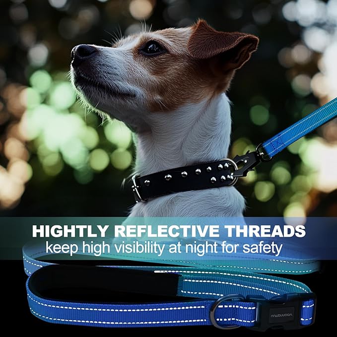 Heavy Duty Hands Free Dog Leash with Quick Release Carabiner and Adjustable No Pull Bungee Dog Running Waist Leash，for Walking and Training with Car Seat Belt 4-6FT (Aquamarine)