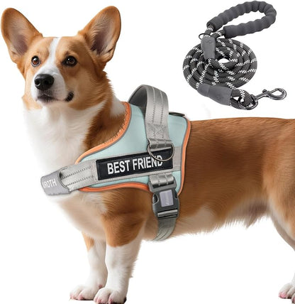 AUROTH Dog Harness and Leash Set, Soft Padded Service Dog Vest with 5.25FT Dog Leash, No Choke, Easy On Pet Vest, Adjustable Reflective No Pull Dog Harness Small Sized Dog, Easy Walking and Training