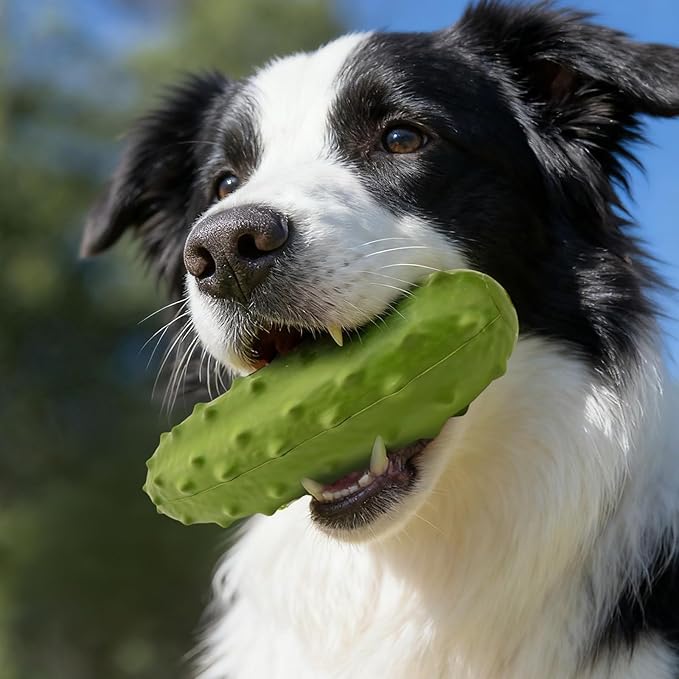 2PCS Tough Squeaky Dog Toys, Durable Dog Chew Toy with Natural Rubber, Teething Toys for Medium Large Breeds, Cucumber Pickle Shape, Yellow & Green