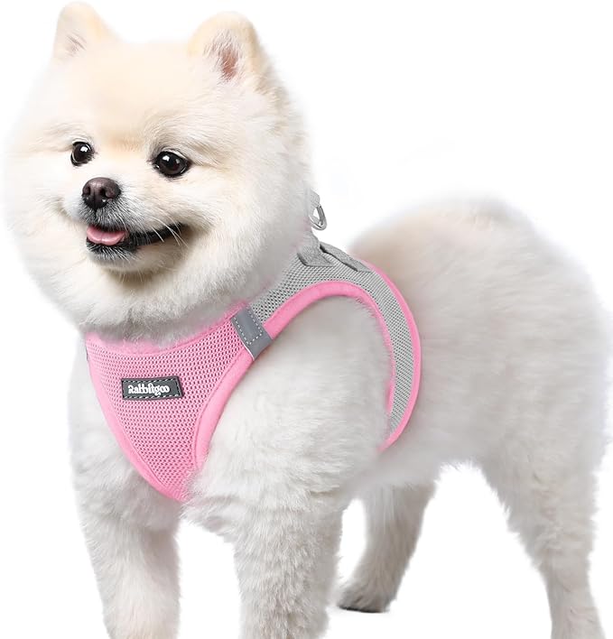 rabbitgoo Small Dog Harness, Step-in Soft Mesh Puppy Vest with Safety Buckle, Breathable Reflective Pet Harness for Small Sized Dogs, Pink & Gray S