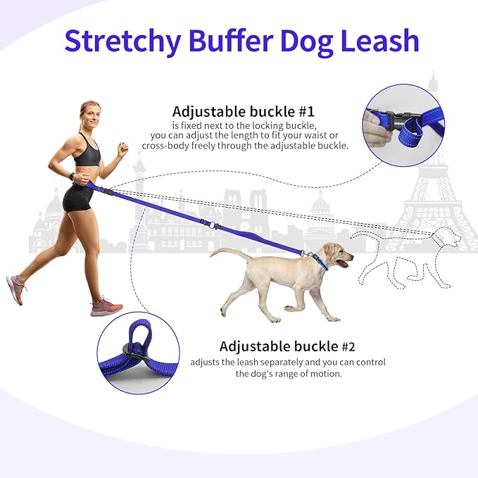 Kazazoo Hands-Free Dog Leash with Adjustable Length 5.5-8.5FT + Dual Padded Handles Reflective Safety for Walking, Jogging & Training | Suitable for Medium to Large Dogs & Puppies M Size Blue