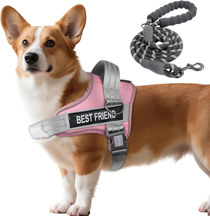 AUROTH Dog Harness and Leash Set, Soft Padded Service Dog Vest with 5.25FT Dog Leash, No Choke, Easy On Pet Vest, Adjustable Reflective No Pull Dog Harness Small Sized Dog, Easy Walking and Training