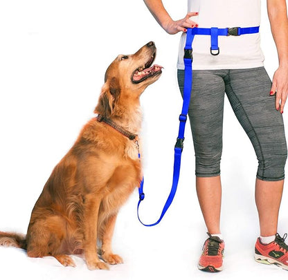 The Buddy System Accessories for Our Dog Leashes Made in USA (Extender, Regular Dog Blue)