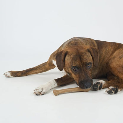 SPOT Bam-Bones Bone - Made with Strong Bamboo Fiber, Durable Long Lasting Dog Chew for Light to Moderate Chewers, Great Toy for Adult Dogs & Teething Puppies under 40lbs, 7.25in, Chicken Flavor