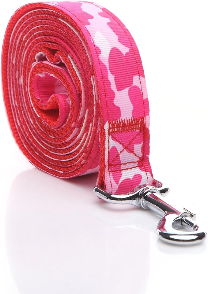 Heavy Duty Dog Leash, 4 FT/ 6 FT/ 10 FT Long, 1 Inch Wide, Nylon Camouflage Dog Leash for Small and Medium Dogs