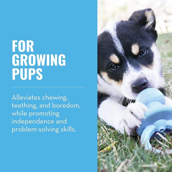 KONG Puppy Binkie - Pacifier Dog Toy for Puppies - Stuffable Treat Chew Toy for Treats - Durable Natural Rubber for Teething Puppy - for Small Puppies - Blue