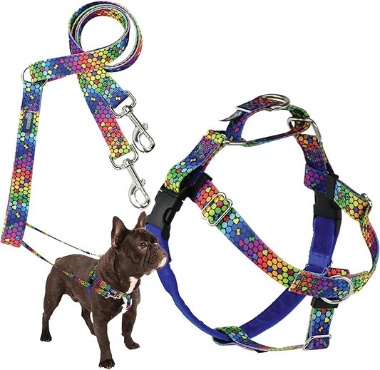 2 Hounds Design - Freedom No-Pull Harness & Training Leash in Blue and Rainbow | Dual Leash Loops, No Pulling on Walks | Lined to Prevent Chaffing | for Small Sized Dogs (Size S, Chest 20”- 24”)