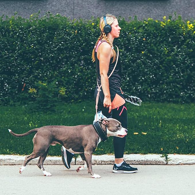 Hands Free Dog Leash Crossbody & Waist for Walking, 9-in-1 No Pull Dog Harness & Leash Set, Waterproof Training Slip Lead for Small Medium Breeds (8-20lbs, Blush)