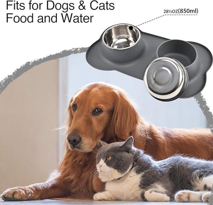 Dog Bowls 2 Stainless Steel Bowl for Pet Water and Food Feeder with Non Spill Skid Resistant Silicone Mat for Pets Puppy Small Medium Cats Dogs