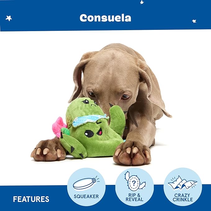 Barkbox Consuela the Cactus 2-in-1 Interactive Plush Dog Toy - Squeaky Dog Chew Toy with Crinkle Layers - for Large Dogs and Puppies