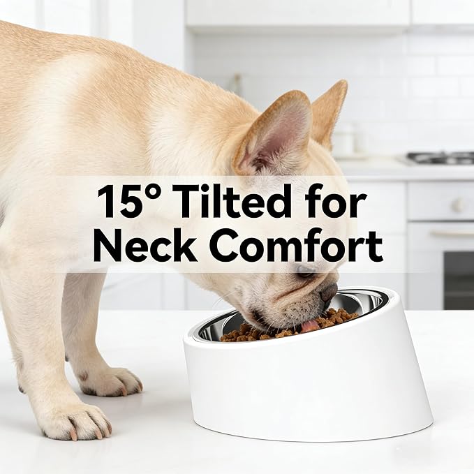 White Tilted Dog Bowl for Large Breed Dogs, No-Spill Non-Skid Stainless Steel Bowl, Detachable 2-in-1 Feeder for Dogs with Cones or Long Ears (Size L)