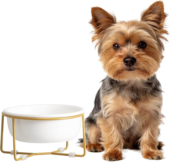 Elevated Ceramic Dog Bowl with Metal Stand - Raised Feeding Dish for Small Dogs and Cats - Ideal for Food or Water - Each Holds 400ml / 2 Cups (Approx. 200g) - White