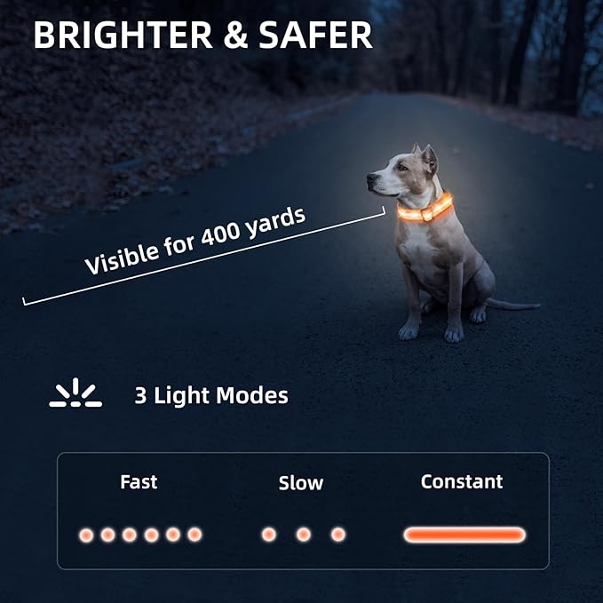 LED Dog Collar for Small Dogs Cats - Fully Waterproof & Adjustable Glow Collar - USB-C Rechargeable for Night Walking, Safety - Flashing Lighted Collar for Dogs(Orange,S)