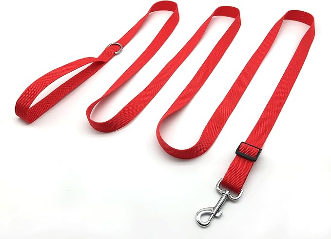 TAIAN Adjustable Nylon Dog Leash, 6FT/10 FT Long Dog Leashes for Small Medium Large Dogs (1 in x 10 ft, Red)