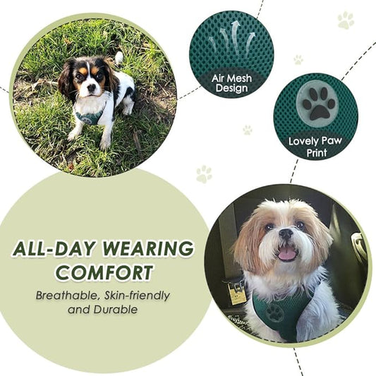 Lukovee Dog Seat Belt for Car, Adjustable Dog Car Harness for Large Medium Small Dogs, Soft Padded & Breathable Mesh Dog Seatbelt with Car Strap and Carabiner (Green,L)