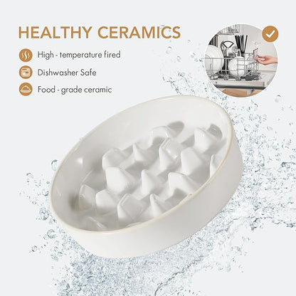 Ceramic 3.2 Cup Dog Bowl Slow Feeder, 9.5 inch Slow Pet Food Dish for Large Dog, Stop Bloat, Preventing Choking(Single Bowl,Reactived Glaze -White)