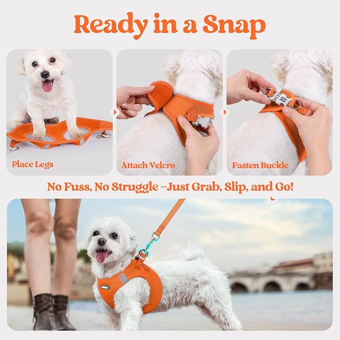 rabbitgoo Dog Harness Small Sized and Leash Set, Step in Soft Light Puppy Vest, Breathable Mesh Pet Harness, Reflective for Safe Easy Walking, Orange XXS