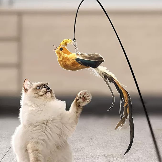 6 Pieces Cat Feather Toys Replacement Bird Cat Toy Wand Refills Cats Toy Replacement Natural Bird Feathers for Cats Toys