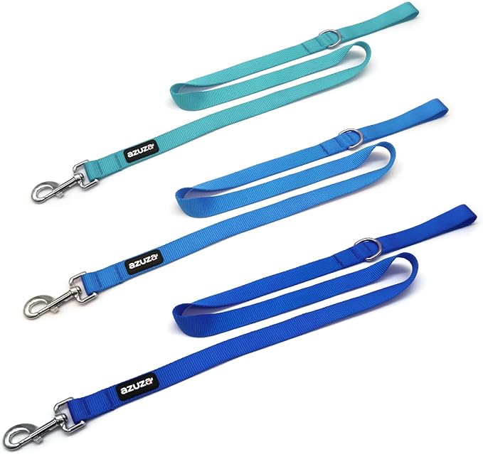 azuza 3 Pack Nylon Dog Leashes,Strong & Durable Basic Style Leash with Easy to Use Collar Hook,Available in Multiple Lengths for Medium Dogs, Royal Blue/Blue/Green