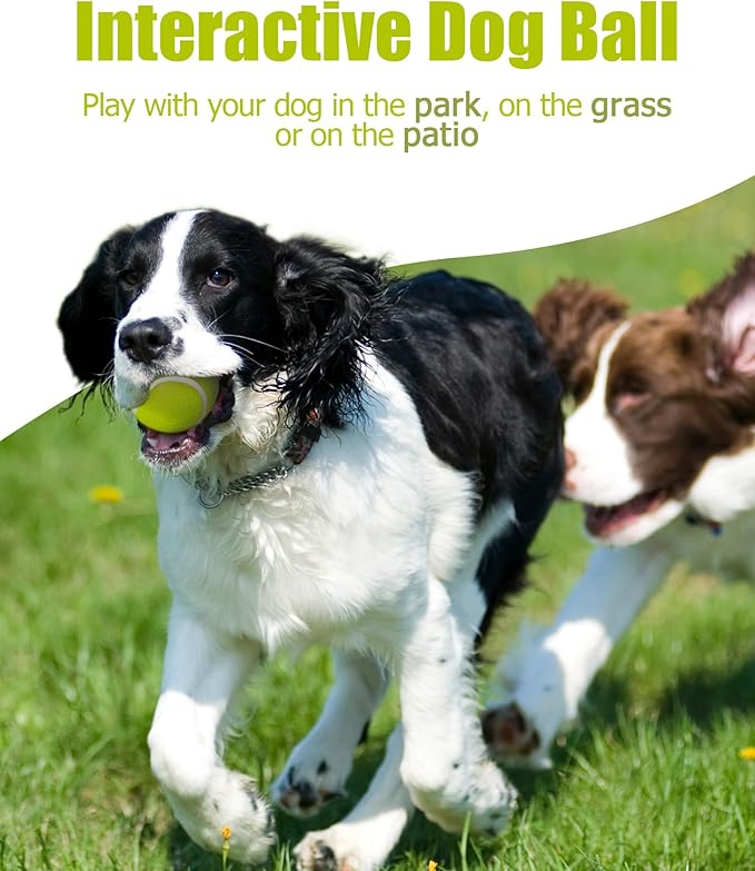 10 Pack Small Tennis Balls for Dogs, Easy Catching Pet Balls for Exercise and Fetch, 2-inch Dog Tennis Ball, Interactive Toys