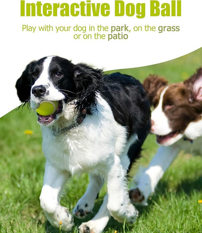 10 Pack Small Tennis Balls for Dogs, Easy Catching Pet Balls for Exercise and Fetch, 2-inch Dog Tennis Ball, Interactive Toys