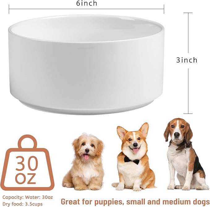 Non Slip Dog Bowls, Heavy Ceramic Dog Food and Water Bowl with Silicone Base, Pet Feeding Bowl for Puppies, Small and Medium Dogs (Glossy White, 6 Inches)