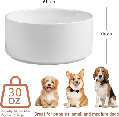Non Slip Dog Bowls, Heavy Ceramic Dog Food and Water Bowl with Silicone Base, Pet Feeding Bowl for Puppies, Small and Medium Dogs (Glossy White, 6 Inches)