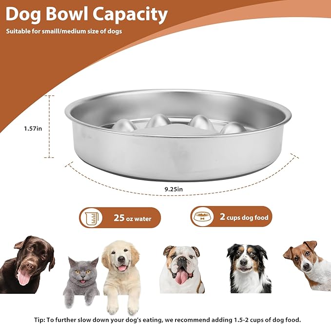 Metal Puppy Slow Feeder Bowl Stainless Steel Non-Slip Dog Food Bowls, Fun Bloat Stop Pet Bowls Dogs Water Bowl for Small & Medium Sized Dogs to Slow Down Eating (C)