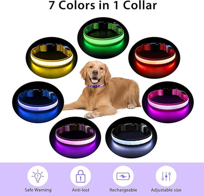 PcEoTllar Light up Dog Collar for Night Walking - LED Dog Collar Light Rechargeable Color Changing, Glow in the Dark Dog Collars Waterproof Glowing Dog Collars for Large Small Medium Dogs