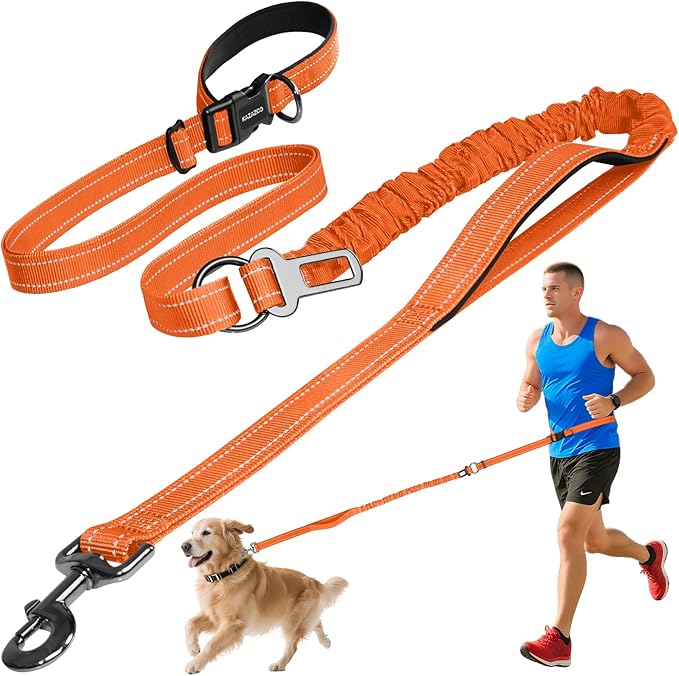 Kazazoo Hands-Free Dog Leash with 6-9FT Adjustable Length - Heavy Duty No Pull Bungee Design, Reflective Safety for Walking, Jogging & Training | Suitable for Medium to Large Dogs Orange L