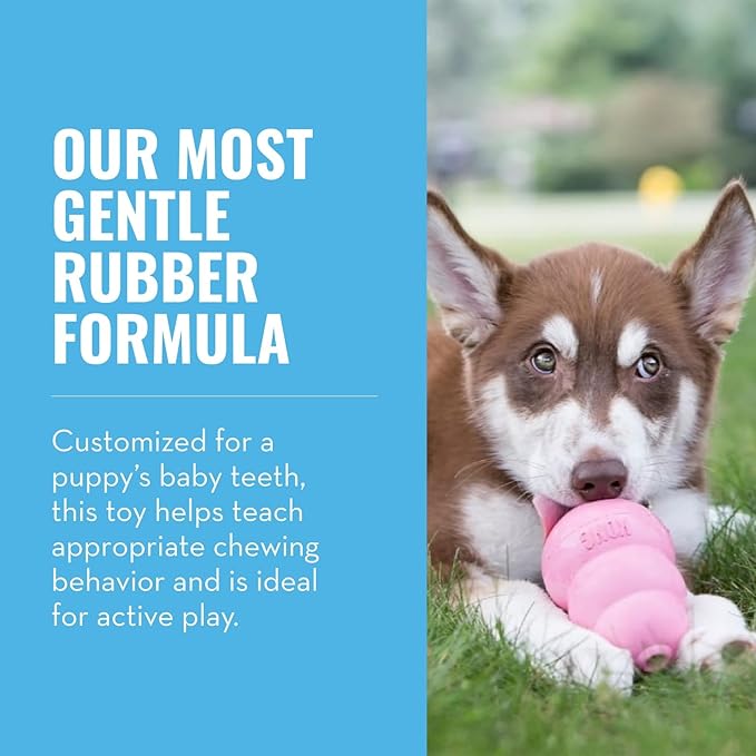KONG - Puppy Toy Natural Teething Rubber - Fun to Chew, Chase and Fetch - for Small Puppies - Pink