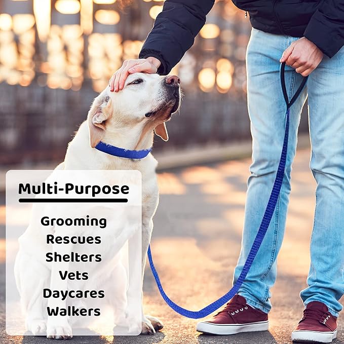 Downtown Pet Supply - 6ft Dog Kennel Slip Lead - Veterinarian, Grooming, Daycare & Rescue Supplies - One Size Leads for Dogs - 1" Thick 6 Pack