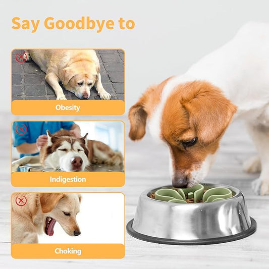 Slow Feeder Dog Bowls Insert, Bestalk Soft Silicone Slow Eating Dog Bowl Insert with Suction Cups for Small, Medium and Large Dogs(Green S)