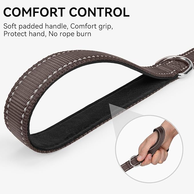 Joytale Double-Sided Reflective Dog Leash, 4 FT, Padded Handle Nylon Heavy Duty Leashes for Small & Medium Dogs Walking, Brown