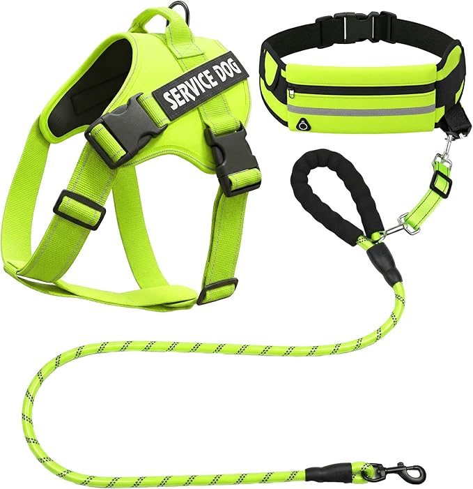 Sadnyy 3 Pcs Dog Reflective Safety Bundle Included Dog Reflective Vest Fluorescent Hands Free Leash with Waist Pack Hi-vis Fluorescent Visibility Pet Set for Raining Jogging Hiking