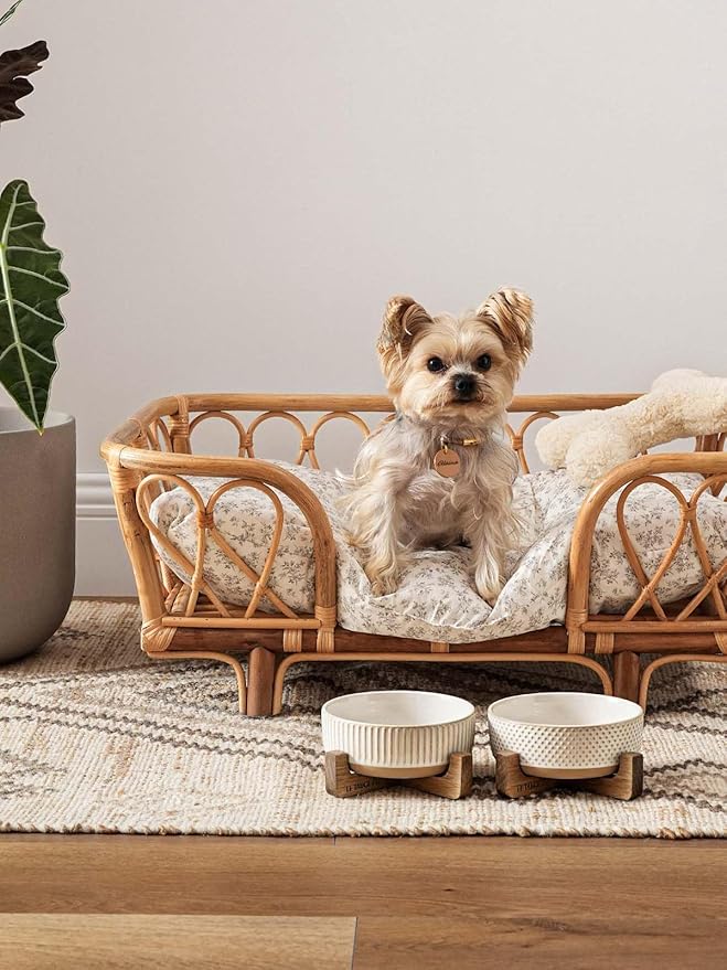 LE TAUCI PET Dog and Cat Bowl Set with Acacia Wood Stand - 2 Cup Ceramic Puppy Bowls for Cats &Small Dogs, Dual Food and Water Bowls with Weighted Non-Slip Base, Lines+Dot