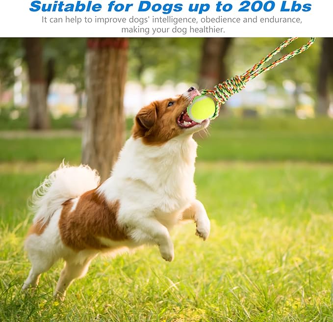 Yummy Sam Dog Ropes Toy,16.8 ft Rope & Spring Pole Pole Kit & 2 Chew Toys, Outdoor Hanging Retractable Exercise Interactive Pull Tug Muscle Builder for Medium Large Dogs (Red Green)