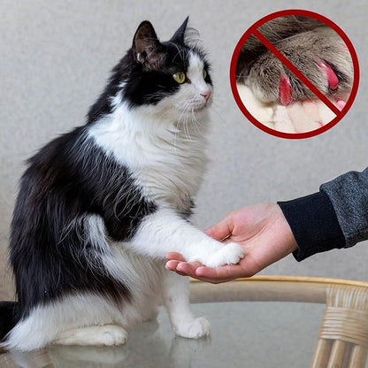 42 Pcs Pet Nail Grinder Replacement Kit with Grit Sanding Bands Pet Dog Nail Smoother Sanding Drum Set Pet Claw Grooming Supplies for Dog Claw Care (80#/120#)