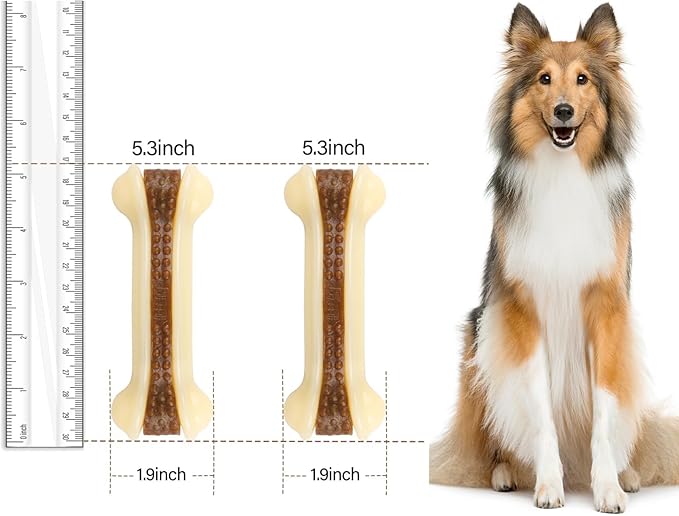Dog Bones for Aggressive Chewers, 2 Pack Real Beef Flavor Puppy Teething Toys for Medium/Small Breed Dogs, Durable Nylon Dog Chew Toys