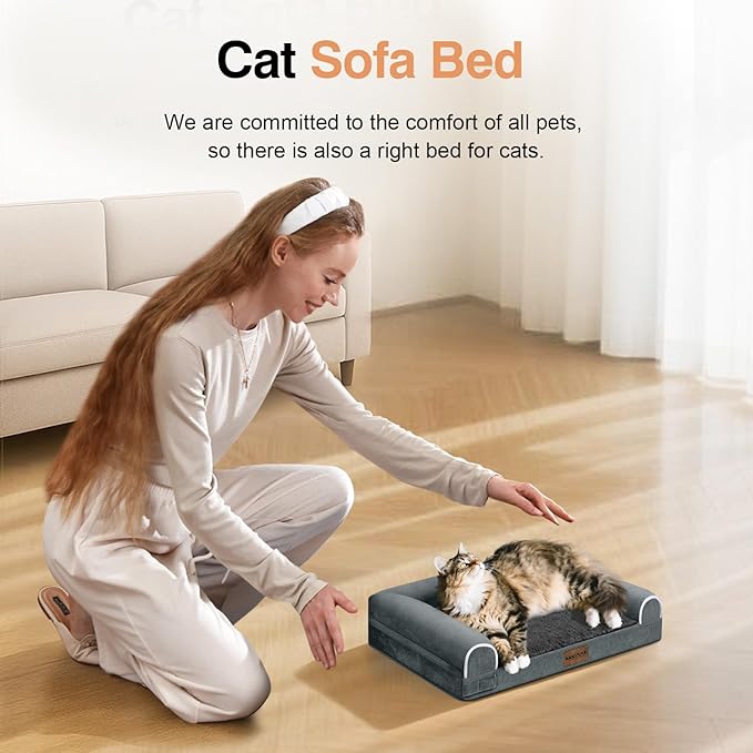 Small Dog Bed Orthopedic Washable: Beds Bolster Small Sized Dogs Cats Bed Egg Crate Foam Couch Sofa Waterproof with Removable Cover - Dark Grey