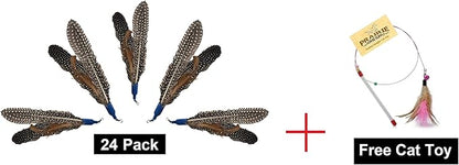 Free Cat Wand Toy with Feather and Bells and Replacement Feathers (24 Pack) Refill for Da Bird GoCat Toy Top Choice Teaser Interactive Play for Kittens All Natural Genuine Guinea Feathers