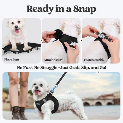 rabbitgoo Dog Harness Small Sized and Leash Set, Step in Soft Light Puppy Vest, Breathable Mesh Pet Harness, Reflective for Outdoor Safe Walking, Black XXXS