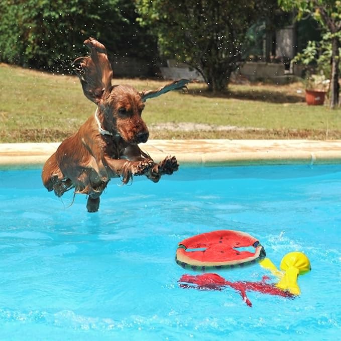 FRCOLOR Pet Dog Flying Disc Toy 7.08 Inch Lightweight Floating Watermelon Design for Outdoor Indoor Play Fetch Training Active Exercise