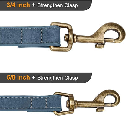 Didog Stylish PU Leather Dog Leash for Small Dogs, Easy to Clean 5ft Small Dog Leash with Metal Tangle-Free Clip, Fashionable and Elegant for Walking, Running and Training,Blue, S