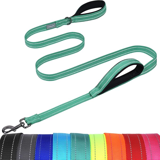 VIVAGLORY Dog Leash Twingrip Double Handle Dog Leash with Traffic Handle Control & 2 Loop for Walking & Training, Reflective Heavy Duty for Puppy Pet Collar, 6ft x 1in, Turquoise