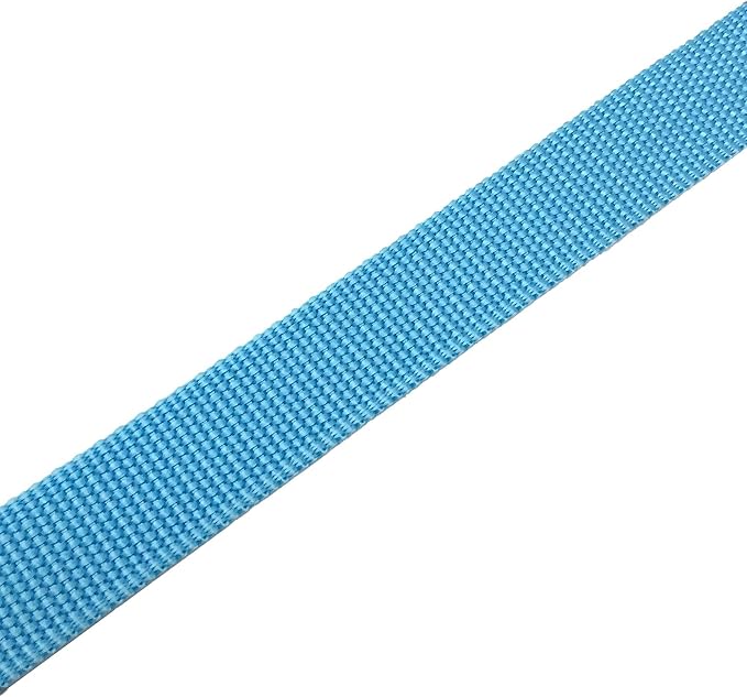 TAIAN 4 FT Strong Dog Leash, Nylon Dog Leashes for Small Medium Large Dogs Blue