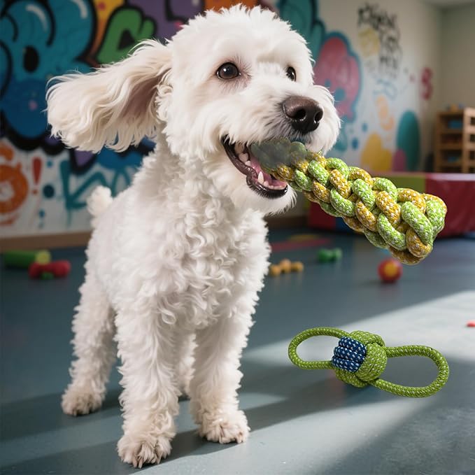 Sunglow Cotton Rope Weaving Dog Toy & Ring Toy Rubber,Cotton Rope Dog Chew Toys,Decompression and Tug Toy for Small Dogs Training Playing Teeth Cleaning (Four Packs)