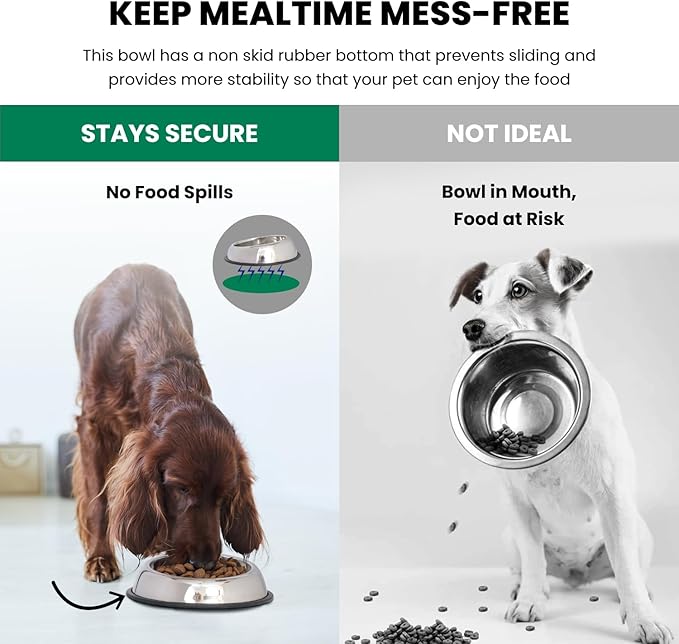 Iconic Pet 4 Cup/32 Oz Heavy Weight Non-Skid Stainless Steel High Back Pet Food/Water Bowls with Removable Anti Skid Rubber Ring - Dog/Cat Feeding Bowl in Unique Design, Dishwasher Safe
