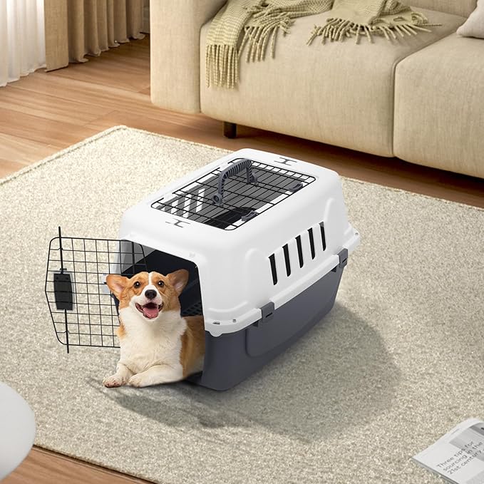 22 Inch Hard-Sided Plastic Dog Carrier 2 Door Travel Crate for Small Dogs Cats up to 22 lbs, Durable Handle, Security Lock Design, Gray